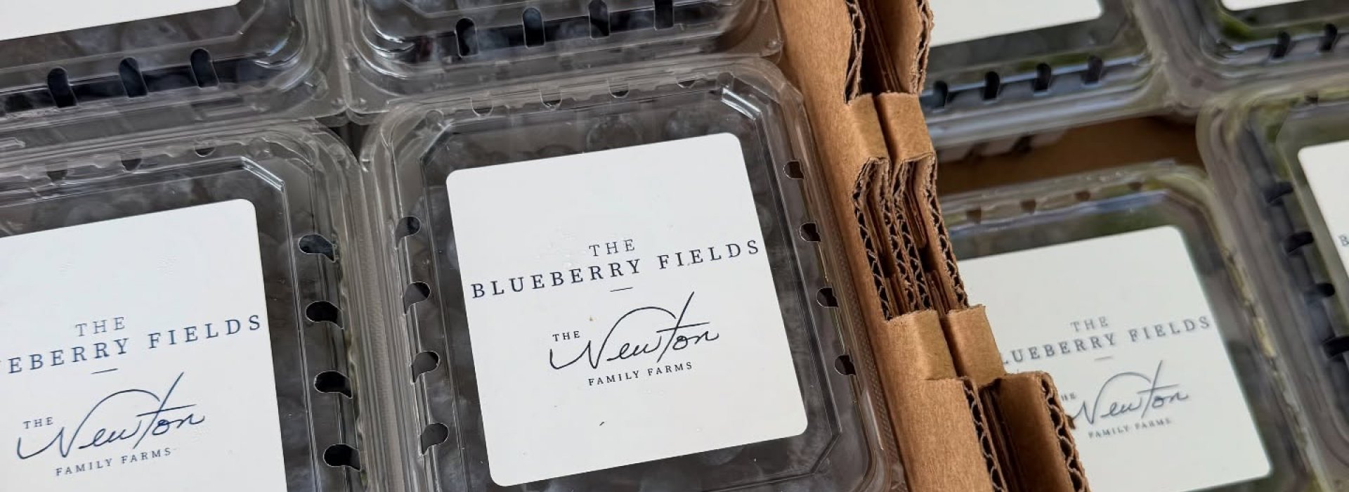blueberries
