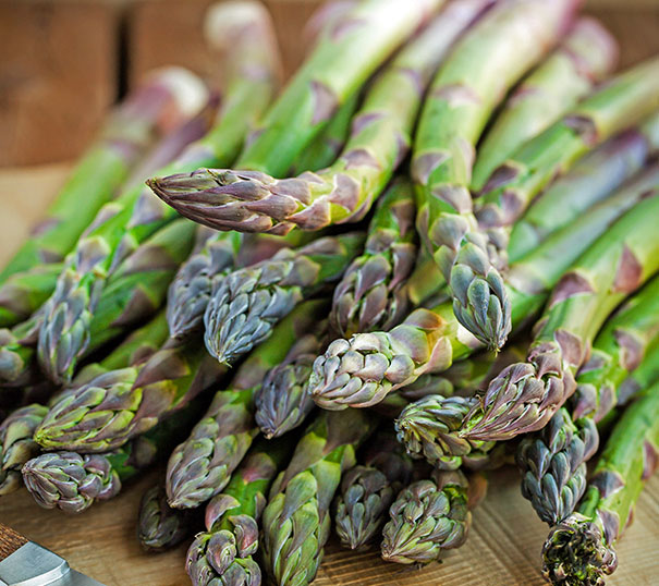 Asparagus 'Jersey Giant'