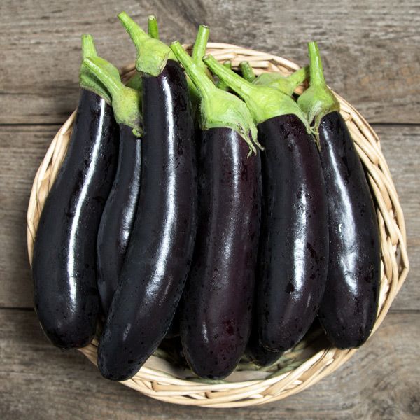 Eggplant 'Turkish Delight'