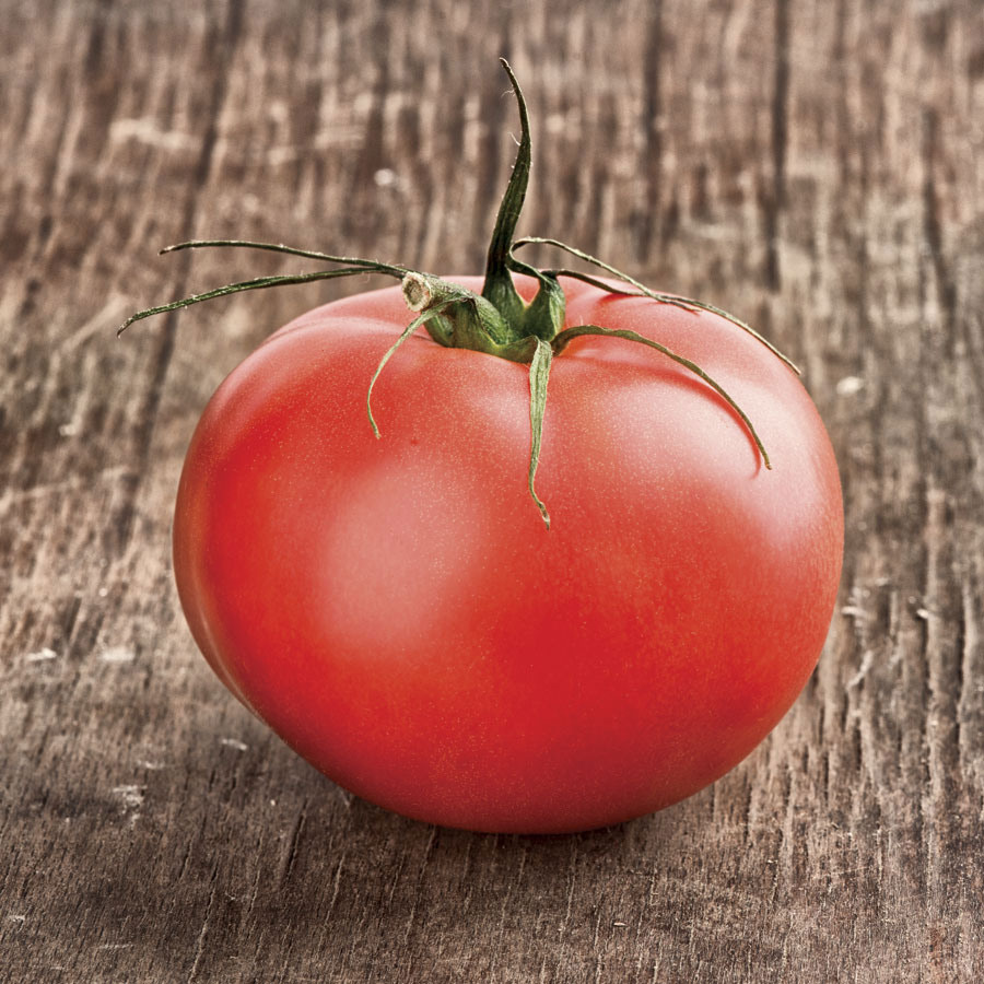 Tomato 'Beefmaster'