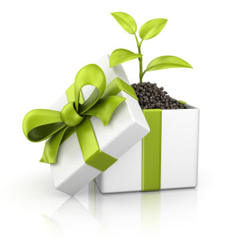 gift