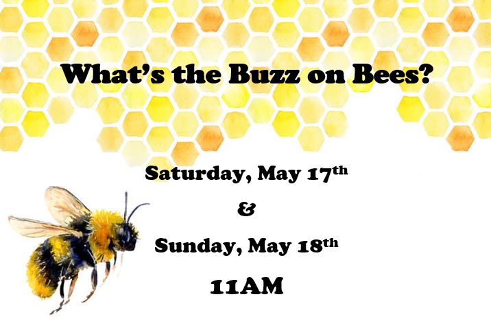 bee flyer sm