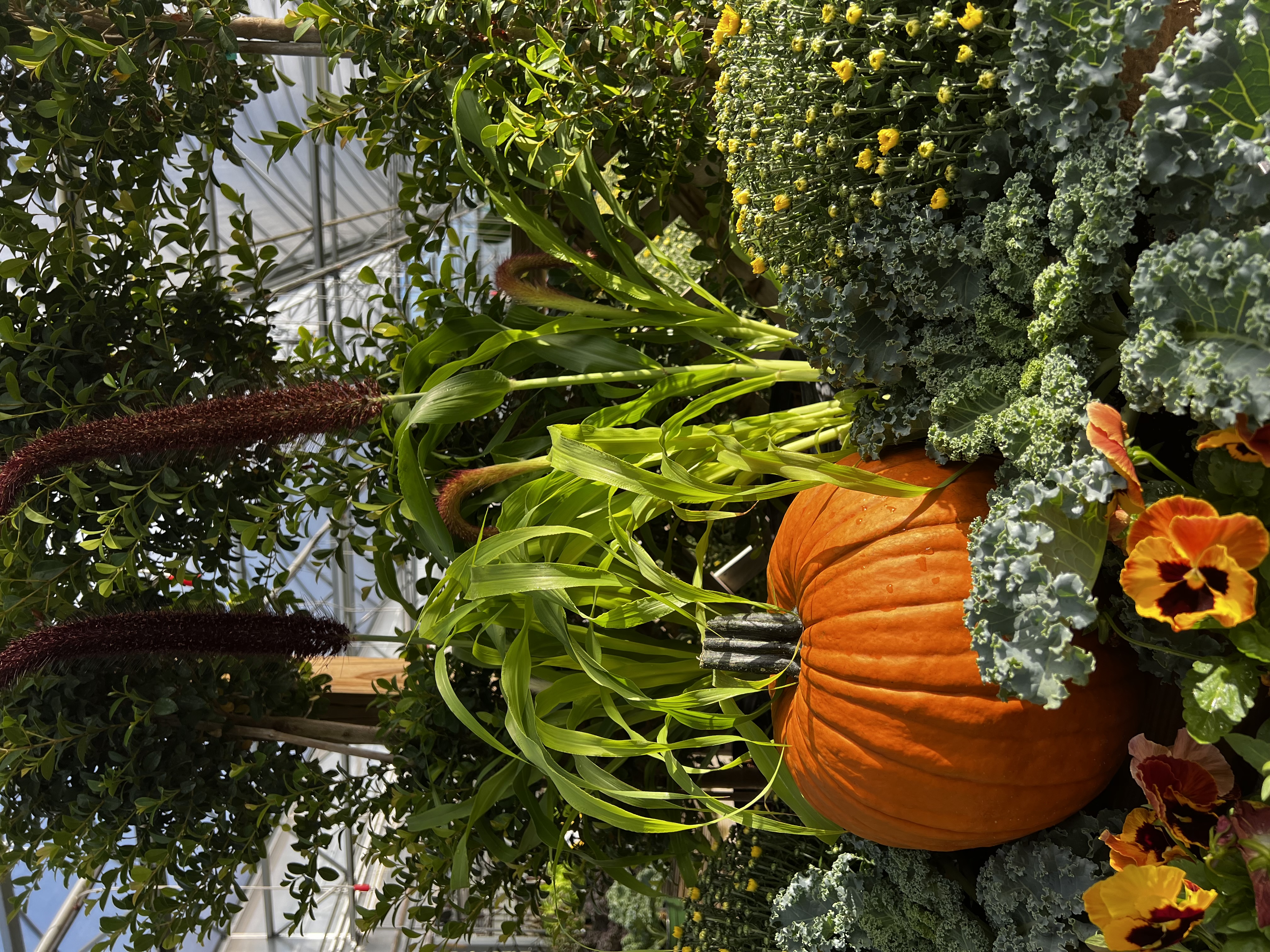 Fall Festival